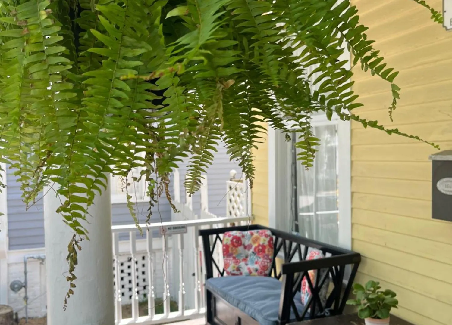 بيت للعطل Victorian Home On Duffy Street سافانا